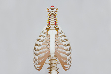 Chiropractor Isleworth